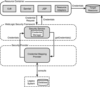 The Credential Mapping provider.