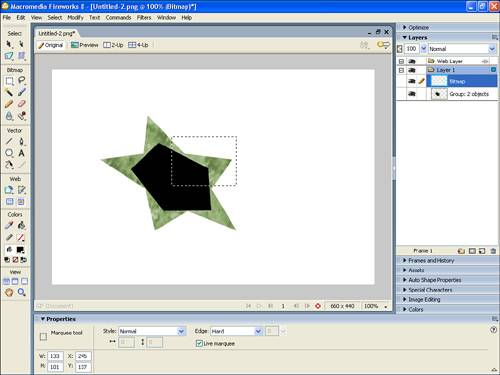 The Marquee tool defines a bitmap area selection.