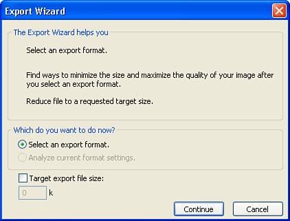 The Export Wizard offers a simple, but limited, method of viewing export options.