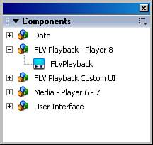 FLVPlayback component in the Components panel.