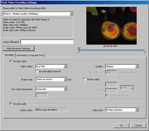 Advanced Flash Video Encoding Settings.