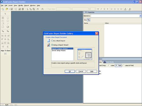 The Macromedia ColdFusion Report Builder interface.