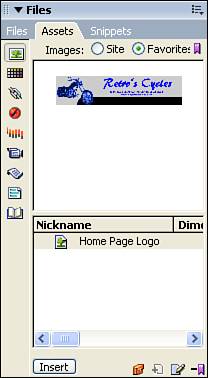 The Assets panel organizes many of the elements contained within your site.