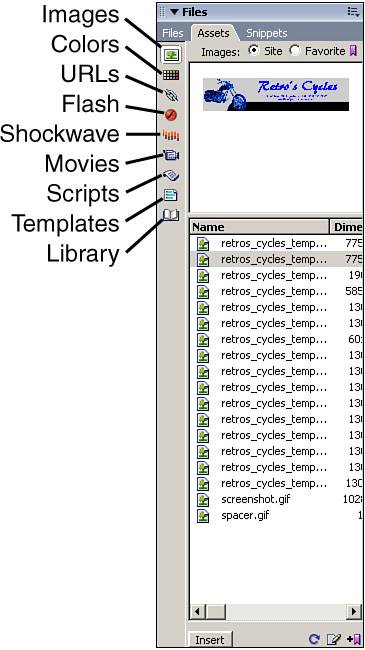 The Assets panel breaks the site cache into nine categories, each of which can be viewed as a site-wide list or a user-generated favorites list of often-used assets.