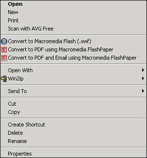 The context menu from within the Windows Explorer environment.