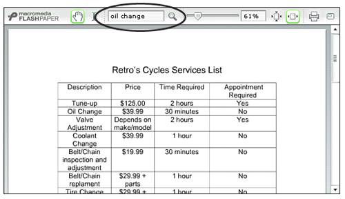 The FlashPaper search interface.