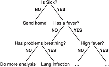 An expert system's knowledge tree