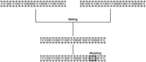 Mating and mutation of an offspring.