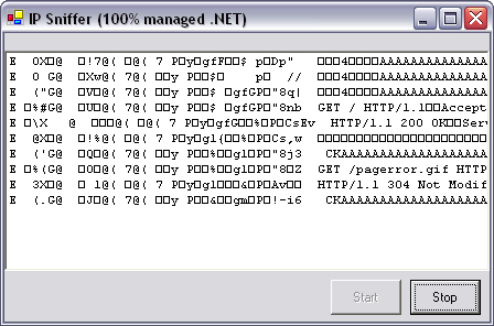 IP-layer packet sniffer application.