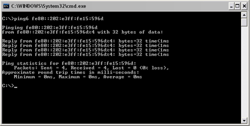 Ping6 MS-DOS utility.