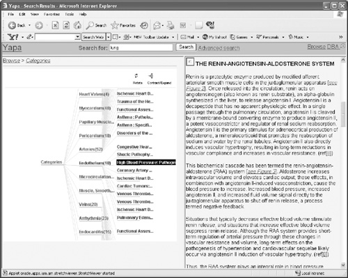 Navigating Categories Using Visualization