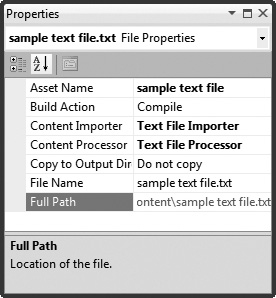 The content manager recognizes this new asset file type (a text file).