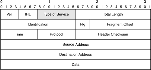 IP Packet Header Containing ToS Byte