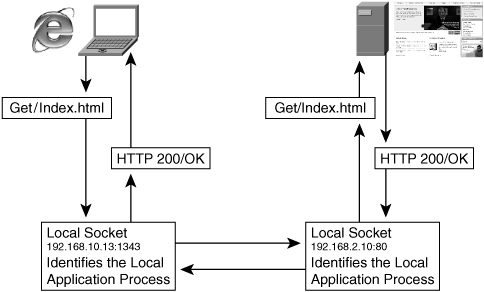 TCP Socket