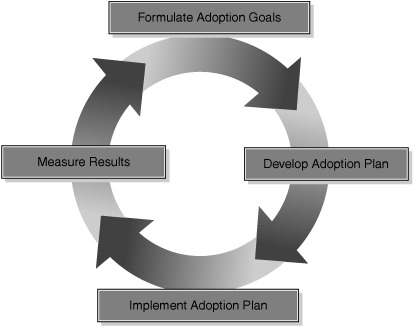 Continual Adoption Planning Process