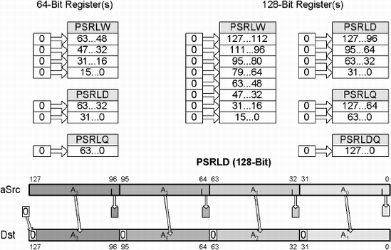 Miscellaneous examples of data types being logical shifted to the right by one bit