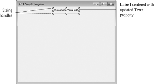 GUI after the Form and Label have been customized.