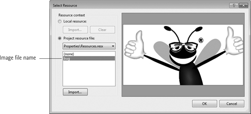 Select Resource dialog displaying a preview of selected image.