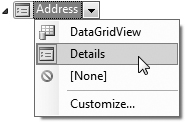 Specifying that an Address should be displayed as a set of Labels and TextBoxes.