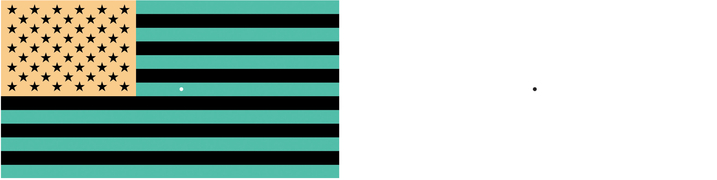 FIGURE 5 A color-inverted American flag and its afterimage. Stare at the dot in the flag on the left and then look at the dot on the right to see the afterimage.