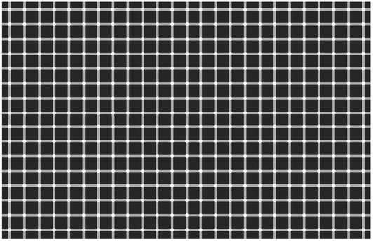 FIGURE 8 The scintillating grid is due to center/surround effects in our vision.