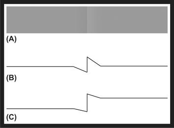 FIGURE 9 You can see the Cornsweet illusion in A, the actual luminance of the image in B, and our perception of the luminance of the image in C.