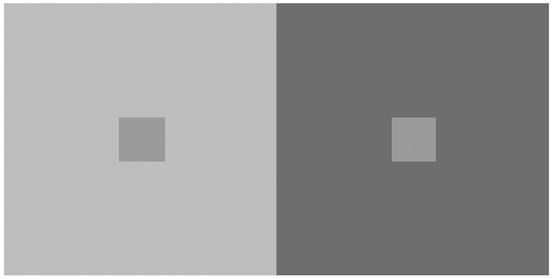 FIGURE 10 Simultaneous contrast is when an area takes on the complementary color of the surrounding area, as in this example of achromatic simultaneous contrast, where the inner box on the left appears darker and the inner box on the right appears lighter.