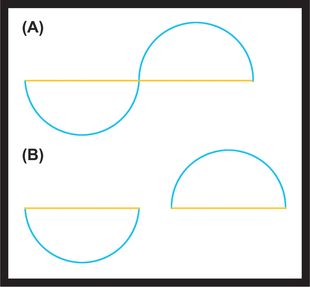 FIGURE 21 We perceive this shape (A) as a sine curve interrupted by a line rather than two half-circles (B).