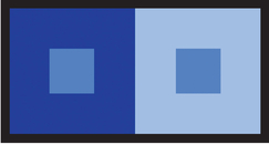 FIGURE 20 The inner squares are the same color, but the surrounding color influences our perception.