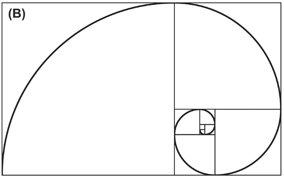 FIGURE 25 A Fibonacci grid (A) and a spiral drawn on top of it (B).