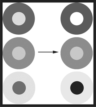 FIGURE 1 This is an example of how the Stevens effect comes into play with different luminance values. The left column contains different scenarios of the contrast between the subject and background, and the right column is an approximation of how we perceive that contrast as the scene gets brighter. Our perception of contrast changes when the subject is significantly lighter or darker than its surround, and the relationship stays about the same when the subject has a lightness similar to the background.