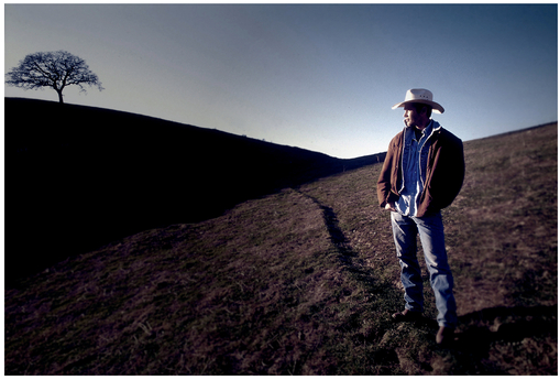 FIGURE 9 An image that portrays remoteness because of the landscape and tree, but an American identity because of the cowboy. Image courtesy Lou Lesko.