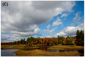 FIGURE 7 Placing the horizon at different levels causes us to look at different aspects of the image.