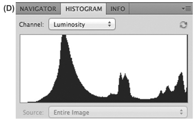 FIGURE 2 In addition to the shot in Figure 1, we also took two other exposures, (A) and (C), to capture highlight and shadow detail. Their respective histograms show that one (B) captures all the highlight information, and one (D) all the shadow information. We’ll combine all three images to create a single image with more detail through the entire tonal range.