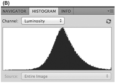 FIGURE 4 By over-processing the HDR image (A), we no longer use enough of the tonal range to provide good luminosity contrast (B). What should be background elements (the clouds) now have far too much energy, and they compete for attention. The image is chaotic.