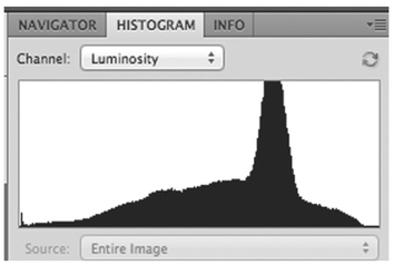 FIGURE 6 Using the Tonal Contrast filter, we selectively increased the visibility of details within the highlights, mid-tones, and shadows. Doing so increased the visual intensity of the image by increasing the amount of detail and texture perceived.