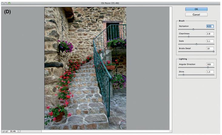 FIGURE 19 (D) We used strong settings to be able to show the brush strokes and oil painting effect clearly in this example. You may prefer more subtle settings.