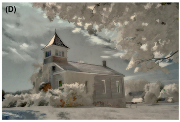 FIGURE 20 (A) Initial image. (B and C) We used Topaz Simplify to convert this infrared image of an old schoolhouse into (D) a painterly version with less detail but more shape contrast, luminosity contrast, and color contrast.