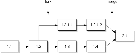 Forking and merging of development paths