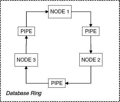 Database ring architecture.