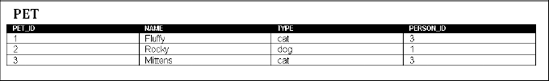 The PET table contains a foreign key to the PERSON_ID column in the PERSON table.