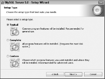 The Setup Type screen offers three installation options. Typical is the default selection and is appropriate in most cases.