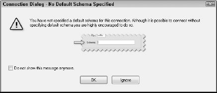 A warning dialog box appears to remind you that you've not selected a default schema. Click Ignore to dismiss this dialog box. You will create a new schema by using the tool.