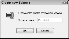 The Create new Schema dialog box