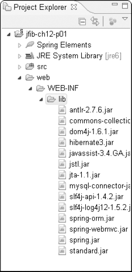 Once all the required libraries have been added to the web/WEB-INF/lib folder, the Project Explorer view should look like this.
