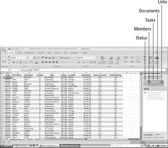 Using the Document Management pane in Excel 2007 to administer the SharePoint document workspace created from this worksheet.