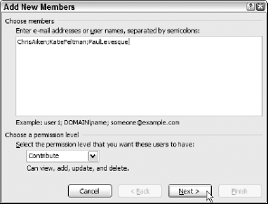 Adding authenticated users to the document workspace in the Add New Members dialog box.