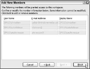 Verifying the team members you're adding to the document workspace in the second Add New Members dialog box.