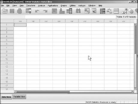 The Data Editor window in Data View mode, before any data has been defined or entered.