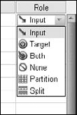 The role assumed by this variable in certain SPSS dialog boxes.